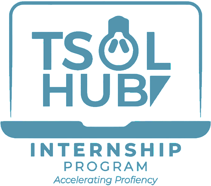 TsolHub Internship Logo